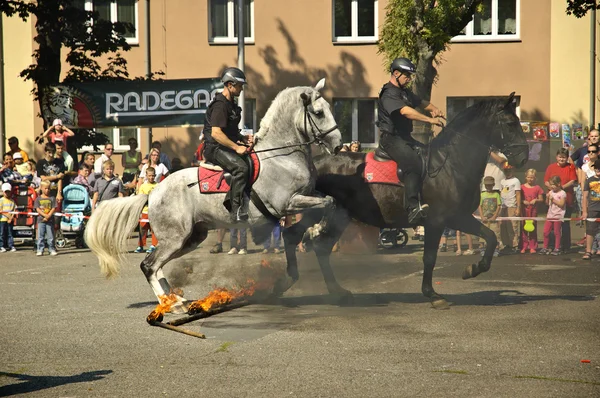 Mounted policemans jumping on horses accros fire.