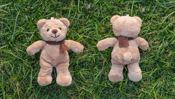 Two TEDDY BEAR brown color with scarf on the grass,front and bac