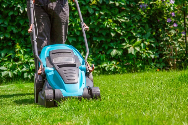 Green grass is mowed lawn mower