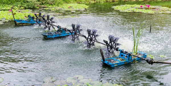 A water wheel floating on the canal