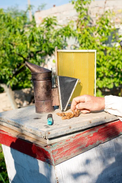 A beekeeper inspects hives. Frame with bees.