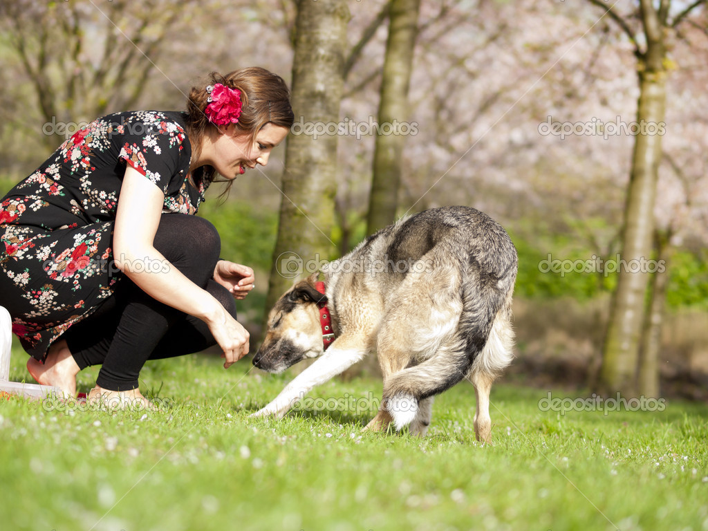 Dogging In The Park Telegraph