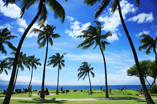 Beautiful tropical beach in Hawaii — Stock Photo #32905307