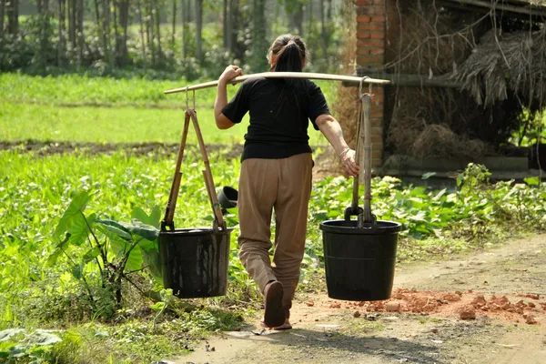China: Woman Carrying Water Buckets Suspended from a Shoulder Yoke