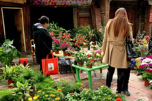 Pengzhou, China: Women Buying Plants at Outdoor Market