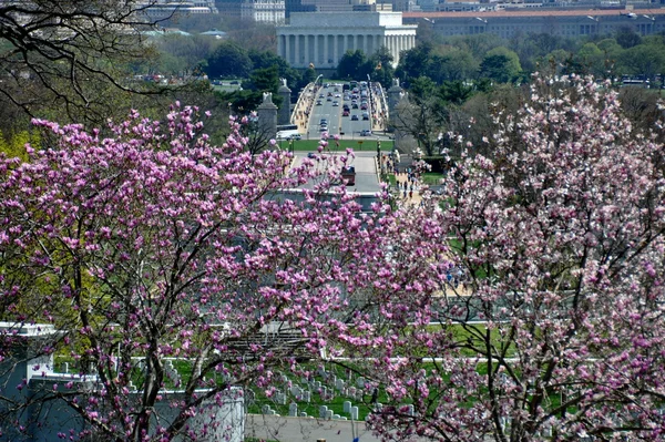 Arlington, VA: View of Washington, DC with Lincoln Memorial