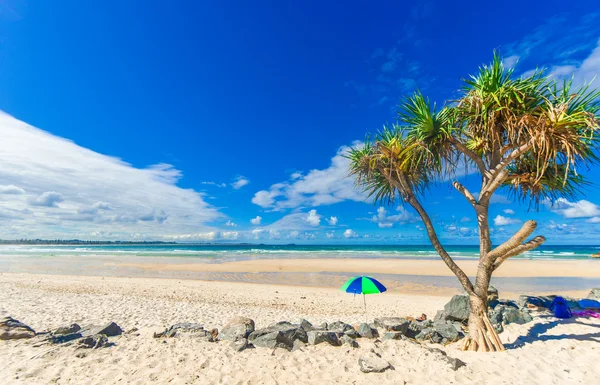 Beach with palm tree and umbrella