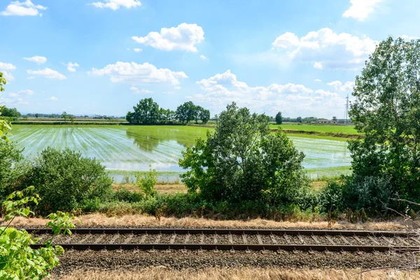 Rail tracks and rice fields, Lomellina (Italy)