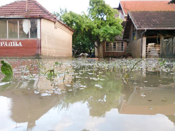 Condition of house with a yard after floods