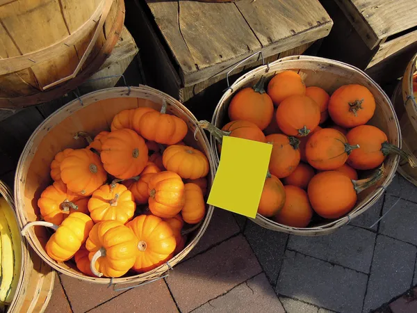 Yellow pumpkins, cucurbita pepo at the green market