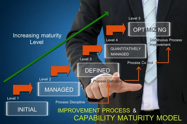 Improvement process of capability maturity model for business concept