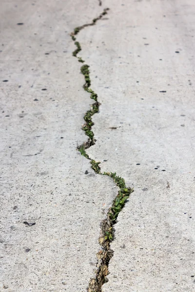 Cement cracked road.