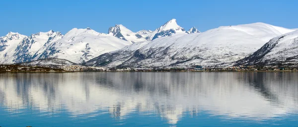 Arctic mountains and fjord in northern Norway at summer