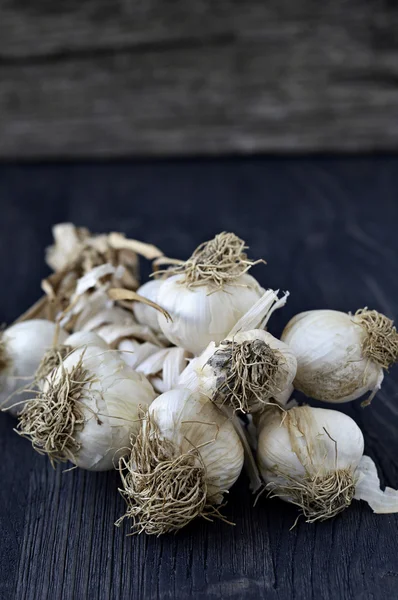 Strand of garlic