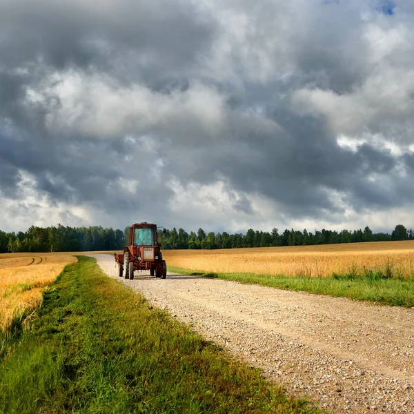 Tractor on the road and cereal field against dark stormy clouds