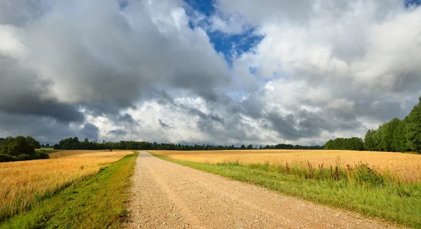 Road and cereal field against dark stormy clouds