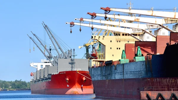 Cargo ships loading in cargo terminal