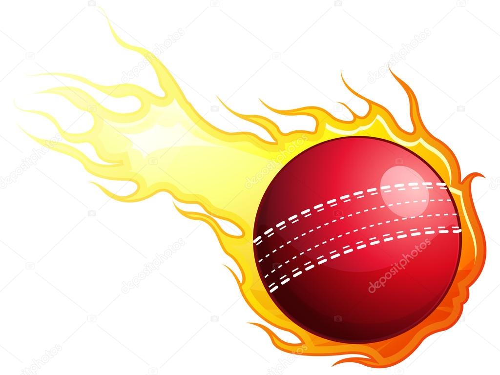 cricket ball google cricket ball google