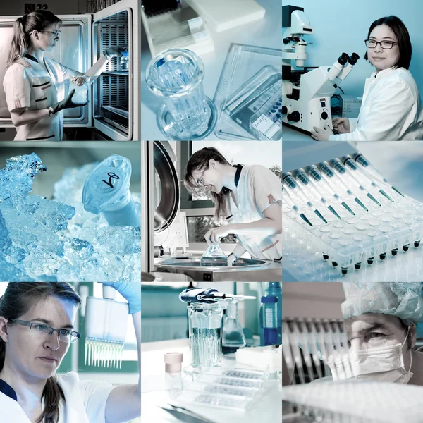 Scientists at work, collage