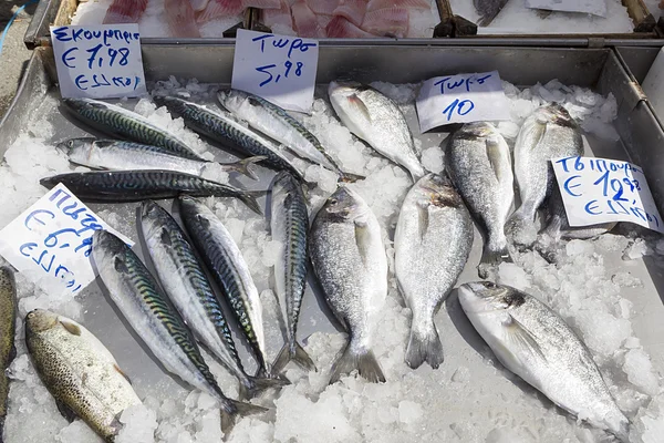 Fresh fishes in a market with greek names and prices