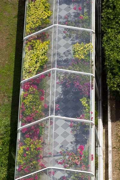 Large and advanced greenhouse with many plants and flowers. Top