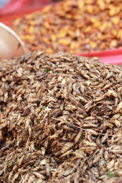 Close up of fried insect