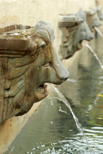 Lion statue  spitting water - vintage style