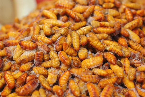 Fried silk worms in the market