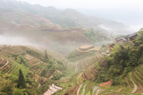 Dragon Ridge Terrace of rice fields at fog weather