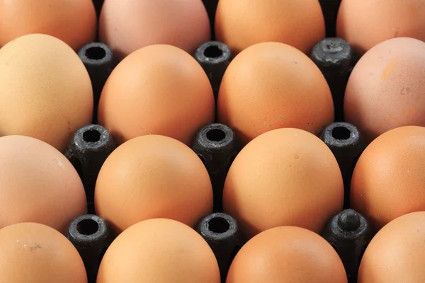 Plastic Tray with fresh eggs