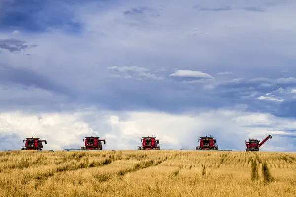 Large Red Combines Agriculture Equipment
