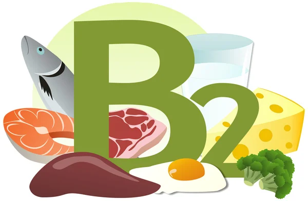 productos que contienen vitamina b2 — Foto de Stock   #37339849