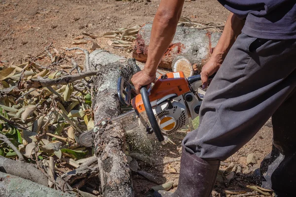 Man is use chainsaw blade cutting log of wood