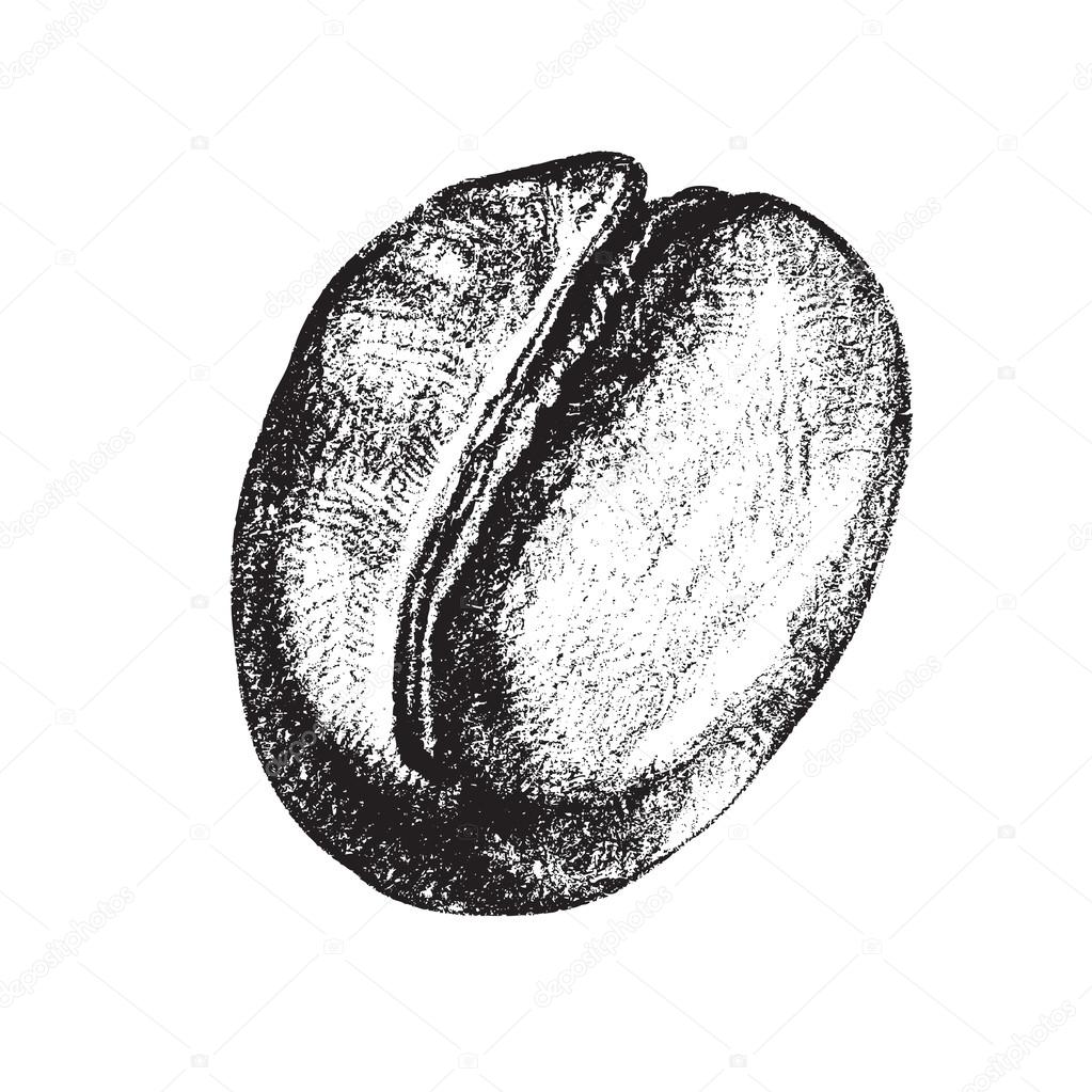 depositphotos_33682665 stock illustration vintage coffee bean