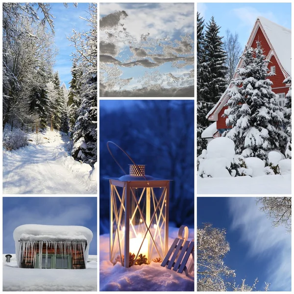 Winter collage with snow, latern, forest