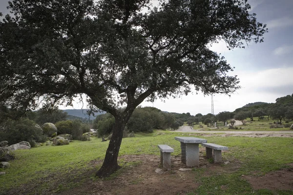 在阳光灿烂的日子在绿色草地上的烧烤表 - 图库