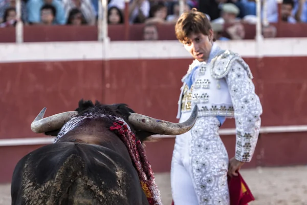 Bullfighter Alberto Lamelas white dress with silver ornaments and staring at the brave bull approaching little by little in the Bullring of Beas de segura, Jaen province, Andalusia, Spain