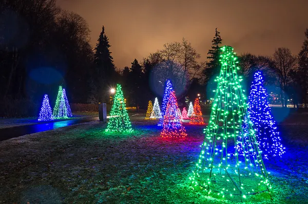 Christmas trees lights at sunset