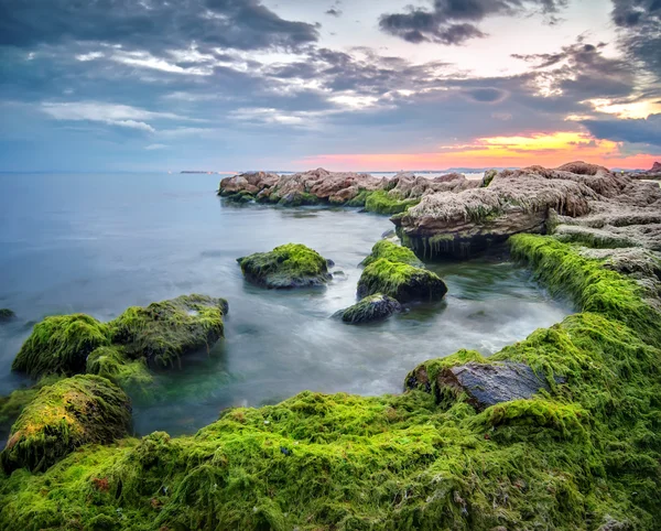 Summer landscape on sunrise with stones of moss and amazing sky