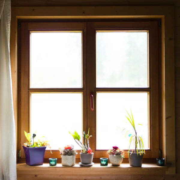 Wooden window with flowers on ledge