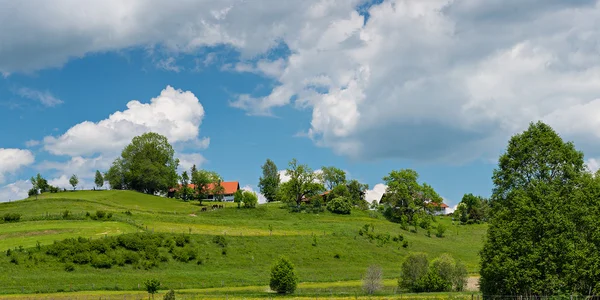 Green hill with bushes trees and house on it at springtime in bavaria