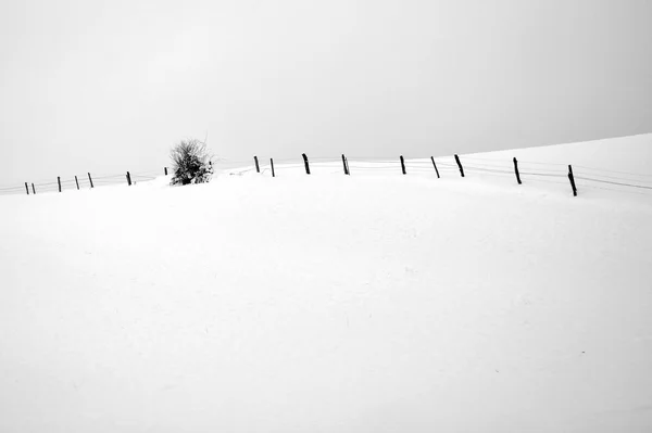 Black and white photo of winter landscape