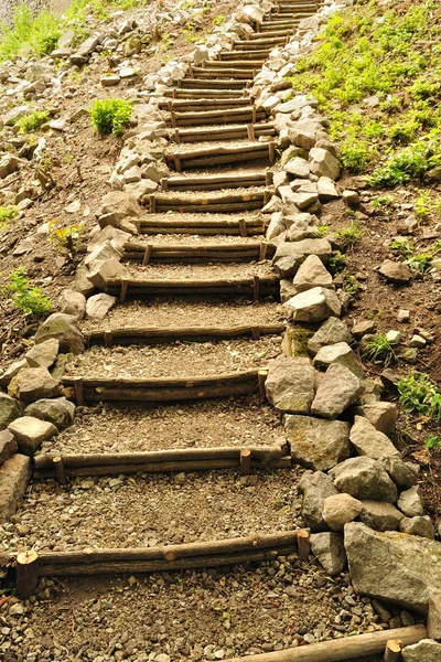 Natural wooden stairs with rocks in forest