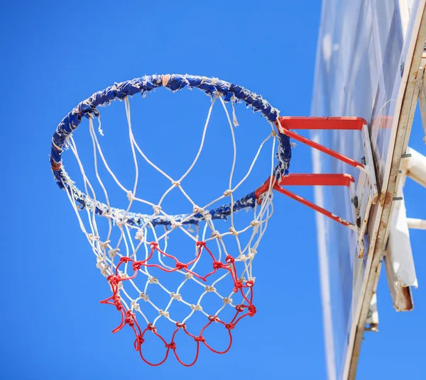 Basketball hoop and a cage with leaves, sports background.