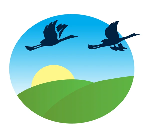 Birds flying over the green fields - vector illustration