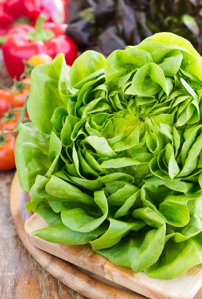 Green and red oak lettuce with tomatoes and paprika close up