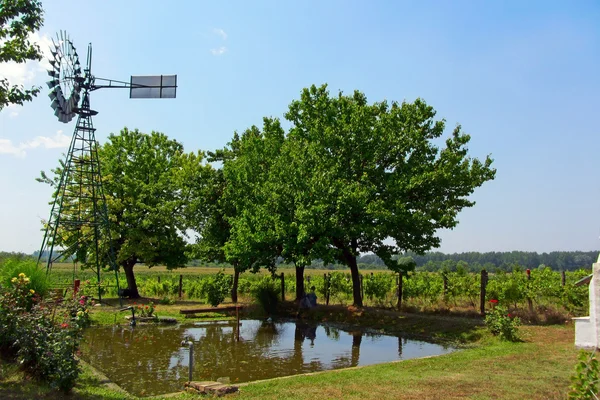 Windmill on small pond used for water irrigation