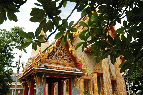 Thai golden temple through trees shade