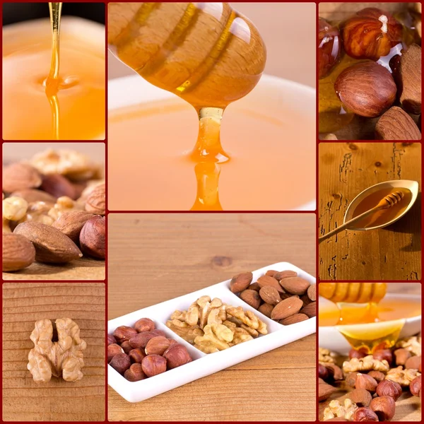 Collage of honey and oil seeds