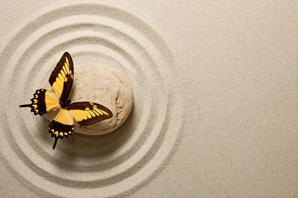 Zen stone with butterfly